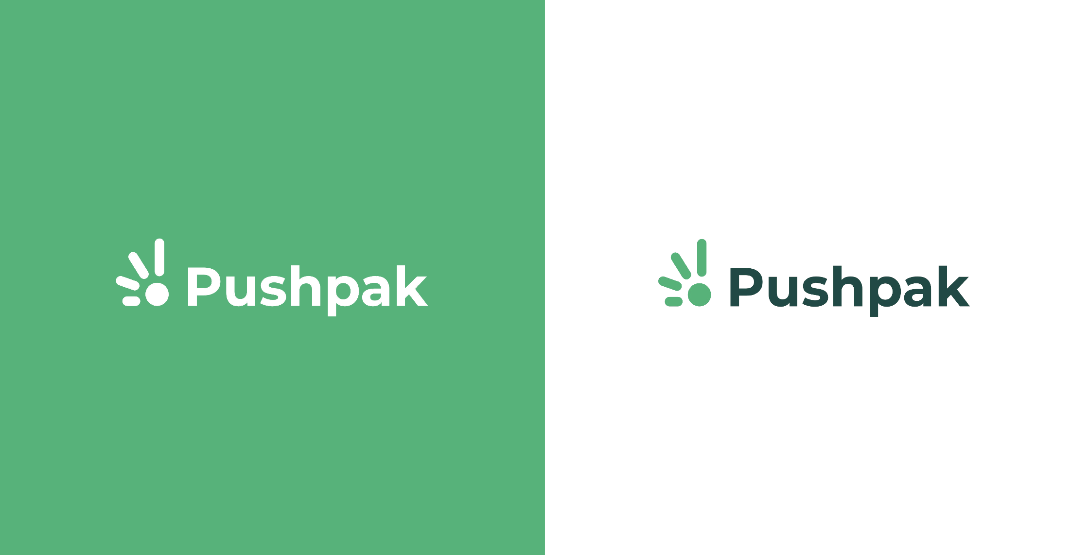 Pushpak Brand Identity Logo Variations